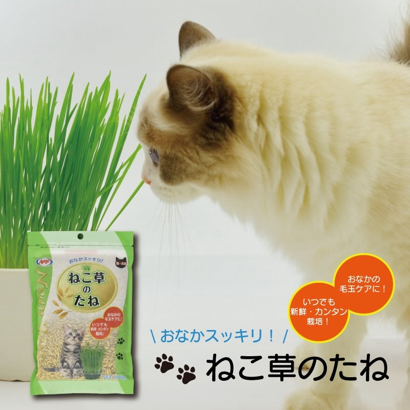 最大77%オフ!最大77%オフ!グリーンラボ(GREENlobo)犬と猫が好きな草のタネ 200g 2個 猫草 エイムクリエイツ キャットフード GREEN Labo. 犬と猫が好きな草のタネ 200g