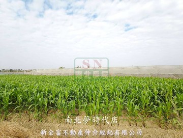 柳營區山子腳段休閒農地｜台南市柳營區山子脚段