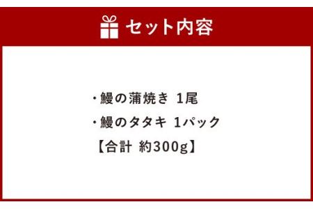 鰻丸 九州産鰻 蒲焼1尾 鰻のタタキ1pcセット うなぎ ウナギ