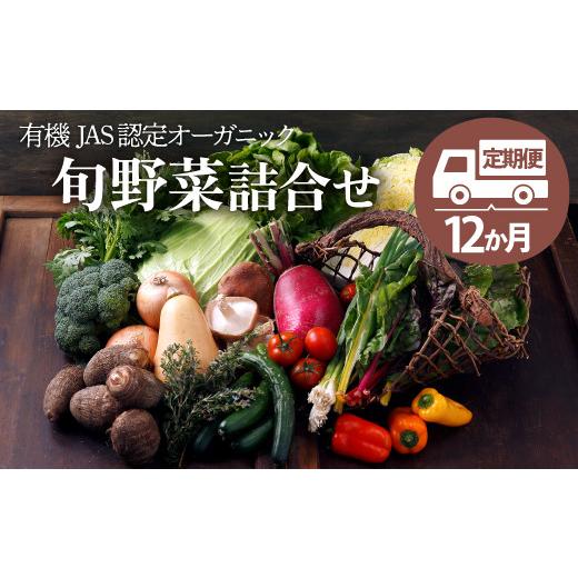 ふるさと納税 愛媛県 大洲市 シェフの目線「大洲の旬野菜詰合せ」年間パスポート
