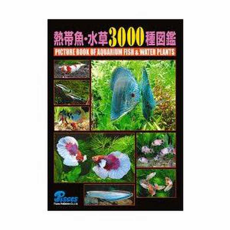 ファッションシーンで話題のこれから流行るブランド12選 熱帯魚・水草3000種図鑑 LINEブランドカタログ | 趣味・スポーツ・実用