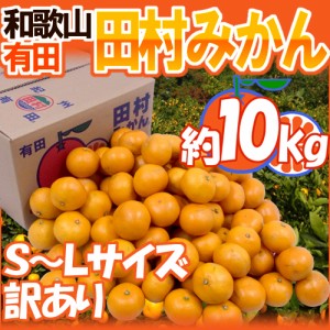 和歌山有田産 ”田村みかん” 訳あり S～Lサイズ 約10kg 送料無料