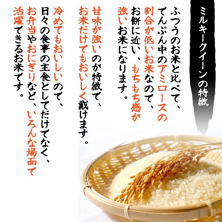 新米 米 ミルキークイーン 10kg 5kg×2袋 福井県大野産 白米 令和5年産 送料無料