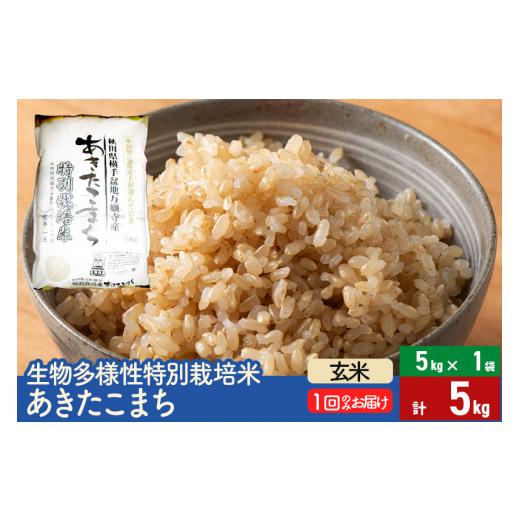 ふるさと納税 秋田県 美郷町 令和5年産 生物多様性特別栽培米あきたこまち 5kg（5kg×1袋）