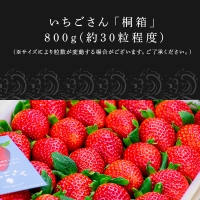 『予約受付』佐賀県唐津市「いちごさん」桐箱 800g いちご 苺 イチゴ 桐箱 ギフト