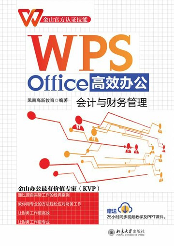 【電子書】WPS Office高效办公：会计与财务管理