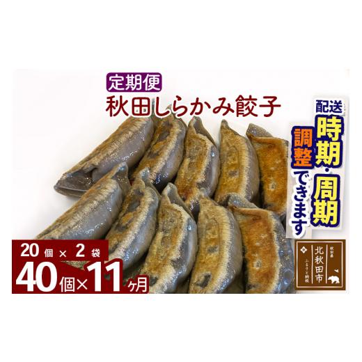 ふるさと納税 秋田県 北秋田市 《定期便11ヶ月》秋田しらかみ餃子 40個（20個×2袋）×11回 