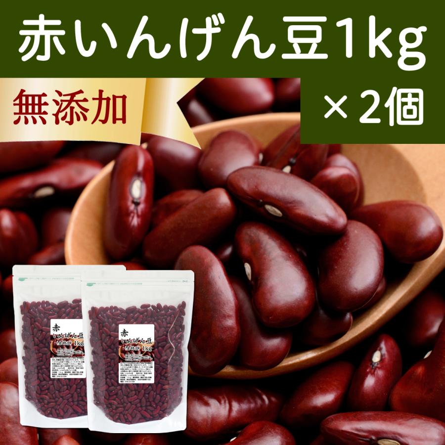 赤 いんげん豆 1kg×2個 金時豆 インゲン豆 レッドキドニー ビーンズ