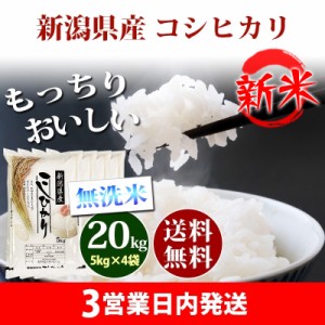 新米 米 無洗米 20kg 新潟県産 コシヒカリ 5kg×4袋 令和5年産 お米 20kg 送料無料 北海道・沖縄配送不可 クーポン対象 20キロ 安い