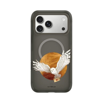 iPhone 17 Pro Max AirX 本質黑 - 哈利波特 Harry Potter - 嘿美Hedwig