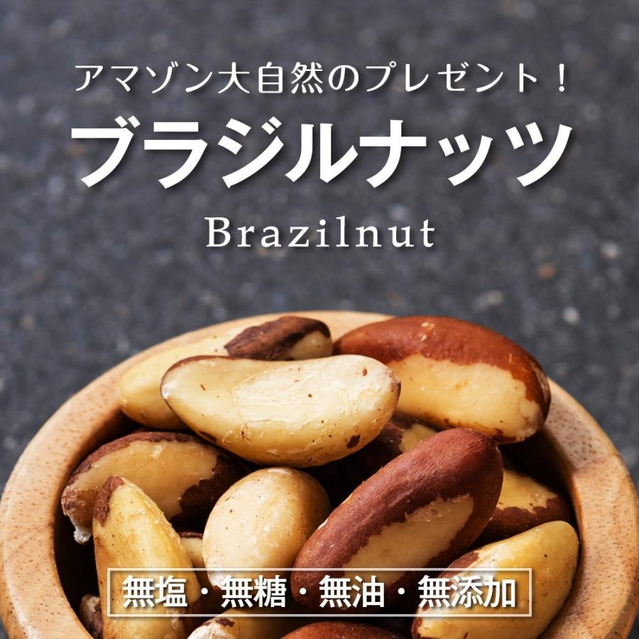 ブラジルナッツ 500g アマゾンのスーパーナッツ 産地直輸入 海外では有名な栄養価の高いナッツ！チャック付き袋 常備食