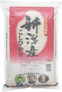 新潟県産 ふるさと越後発 新潟産 コシヒカリ 5kg 令和4年産