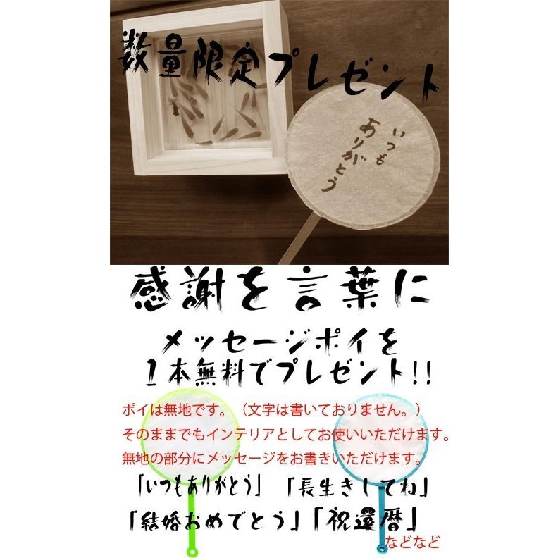 金魚アート プレミアム 樹脂金魚 極  純日本製 手作り プレゼント ギフト 贈り物 還暦 コレクション 美術 工芸品 絵画 日本画