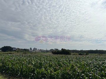 安定國中區段徵收農地持分出售｜台南市安定區安定