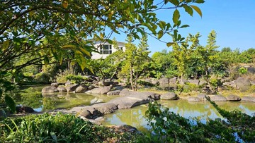 美濃紫蝶段開心農場｜高雄市六龜區紫蝶段