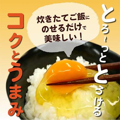 ふるさと納税 上毛町 放し飼いたまご『かぐやひめ』20個 全6回