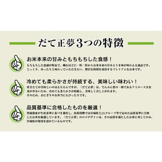 ふるさと納税 宮城県 石巻市 令和5年産 宮城県産 だて正夢 精米 10kg （5kg×2袋） 石巻市