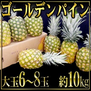 フィリピン産 ”ゴールデンパイン” 大玉 6～8玉 約10kg 送料無料