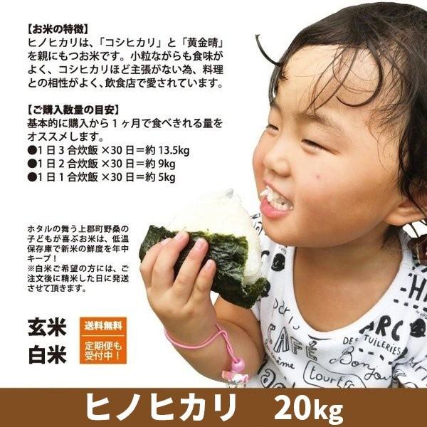 令和5年度産 ヒノヒカリ　精米　白米　20kg　兵庫県上郡町産　送料無料