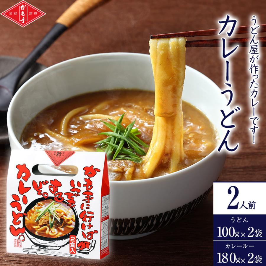 うどん屋が作ったカレーです！ かも手 カレーうどん（2人前） R-カレ うどん 饂飩 ウドン udon 手延べ 手延 手延べうどん 手延うどん 麺 めん 麺類 乾燥麺