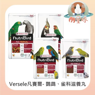 M星球 滋養丸【凡賽爾】鸚鵡 雀科  機能滋養丸 P15 B14 G14  鸚鵡主食 鸚鵡飼料 雀科鳥類 鳥飼料