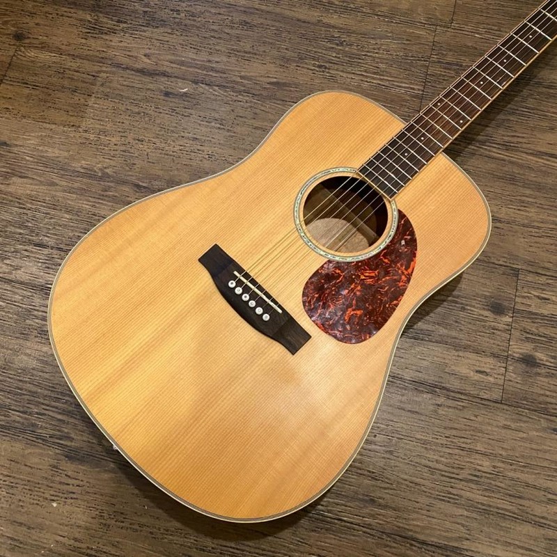 Kaalena Acoustic Guitar ESP カーレナ アコースティックギター Kaalena Acoustic Guitar ESP カーレナ アコースティックギター