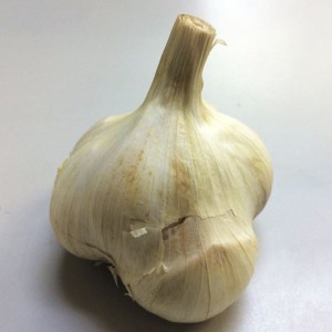 日常の一般野菜 にんにく ニンニク 1個