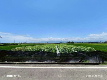宜蘭壯圍鄉新南段特定農業區:農牧用地--K511｜宜蘭縣壯圍鄉新南段