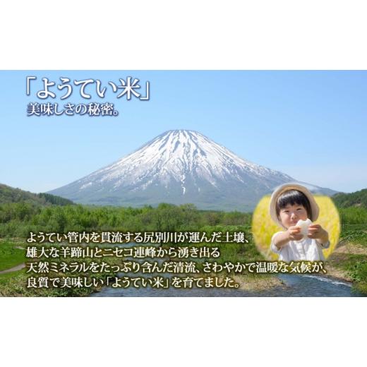 ふるさと納税 北海道 倶知安町 北海道産 ななつぼし 精米 5kg×2袋 計10kg お米 米 特A 白米 ブランド米 ご飯 ごはん おにぎり主食 産直 ギフト 備蓄 JAようて…