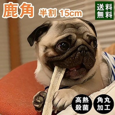 鹿の角 犬 おもちゃの通販 180件の検索結果 Lineショッピング