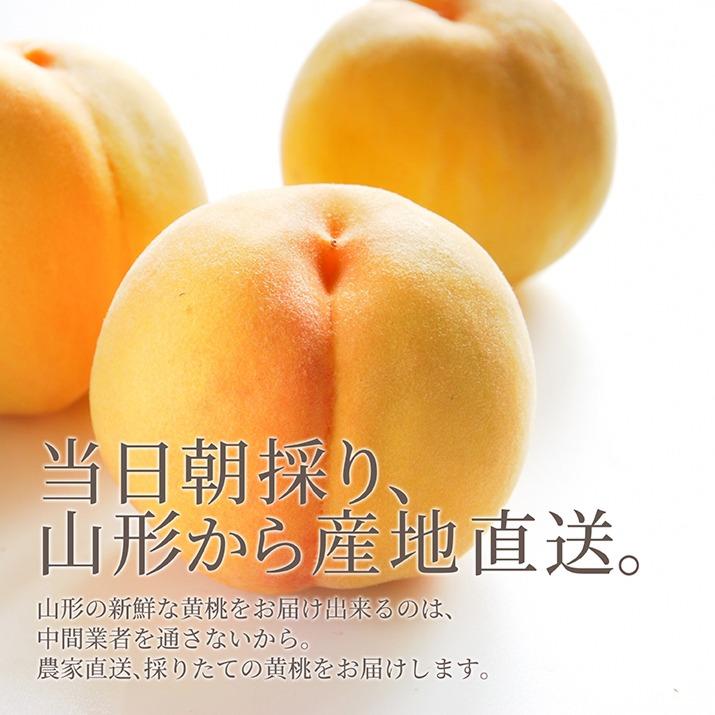  山形県産 黄桃 秀品 約1.5kg (6玉前後) クール便 化粧箱入り 硬い桃 黄桃 産地直送 黄桃　ギフト 桃 送料無料 果物 フルーツ