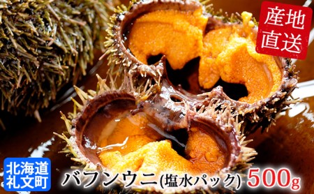 北海道 礼文島産 採れたて バフンウニ  塩水パック 100g×5  生うに 生ウニ  塩水うに