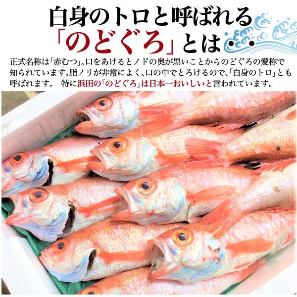 のどぐろ 干物 一夜干し 110g 冷凍 国産 産地直送 贈答用 ギフト お取り寄せ グルメ 贈り物 熨斗対応 お中元