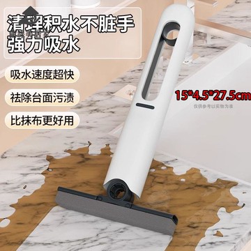 多功能迷你小拖把 便攜家用拖布免手洗 打理衛生間浴室窗戶廚房餐桌qxm9101