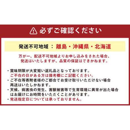 ふるさと納税 152-811  豊後大野市 の 旬 の お野菜 くだもの セット 6〜8品 大分県産 フルーツ  大分県豊後大野市