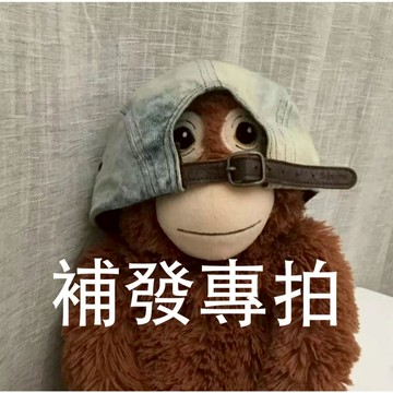 補發專用鏈接 一元專拍  免運鏈結