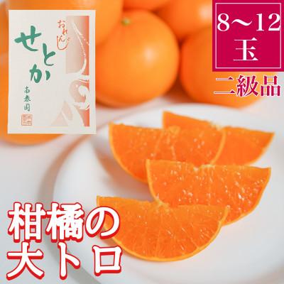 ふるさと納税 有田川町 傷あり『柑橘の大トロ』ハウスせとか8〜12玉入　和歌山県有田川町産