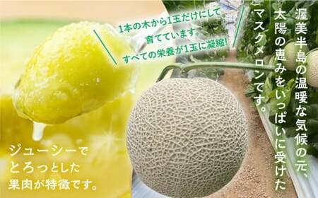 渥美半島産 マルカ農園のマスクメロン 2玉 (1玉1.5kg以上) めろん 箱詰め フルーツ 果物 田原市 産地直送 夏 10000円 1万円