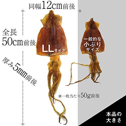 するめ 函館名産 スルメイカ 特大サイズ×10枚入 (約500〜550g) 北海道産 するめ するめいか スルメ