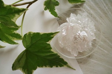 鮑姆花胸針