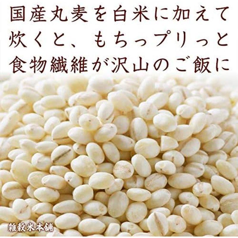 雑穀米本舗 丸麦 3kg(500g×6袋)