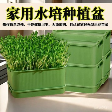 臺灣出貨⚡髮豆芽神器超大工具神器髮芽盆食品級生綠豆芽豆芽盆大號種植盒 JWIK