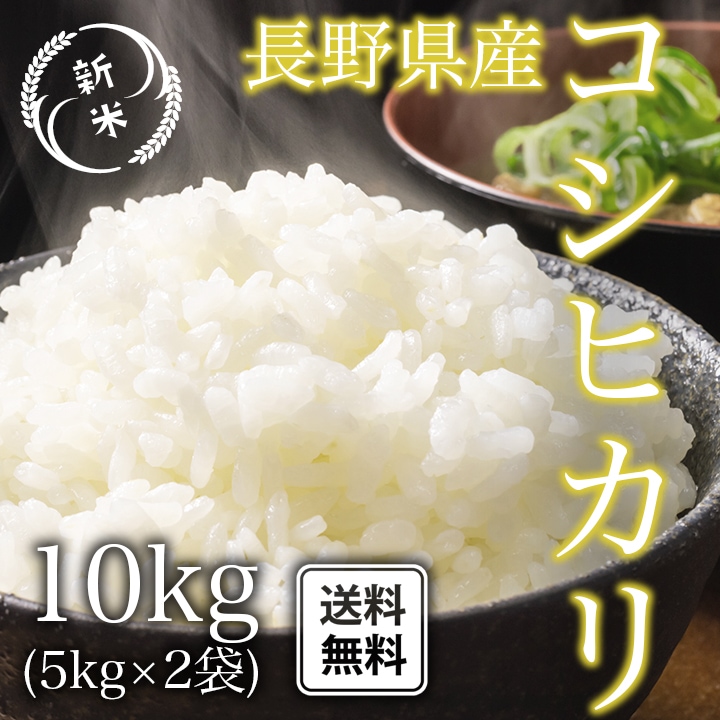 こしひかり 10kg 令和4年産 長野県産 米 お米 白米 おこめ 精米 単一原料米 ブランド米 10キロ