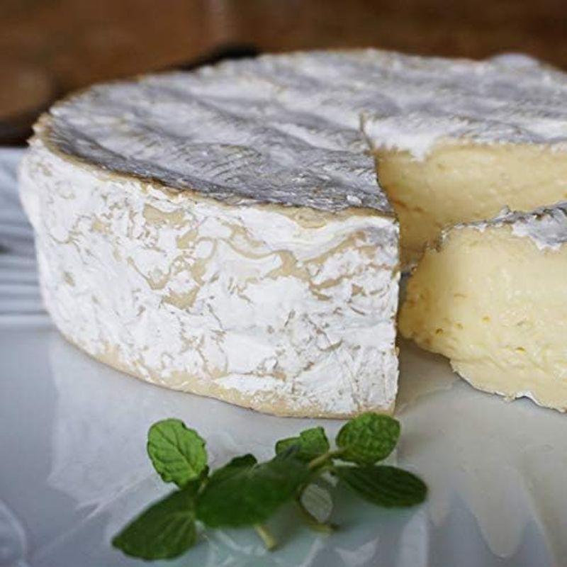 白カビチーズ クロミエ 400g フランス産 クローミエ
