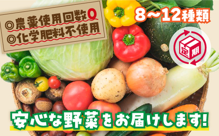 A-086　安心お野菜定期便(12回コース)