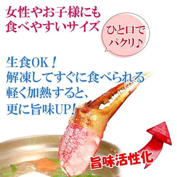 カニ かに 蟹 グルメ 生 ズワイガ二 カニ爪 ポーション 正味量400g×1袋 爪 ポーション 爪肉 蟹 セット