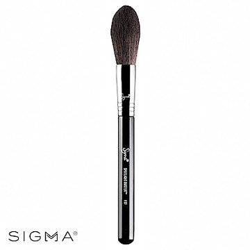 Sigma F37-柔軟打亮刷 Spotlight Duster
