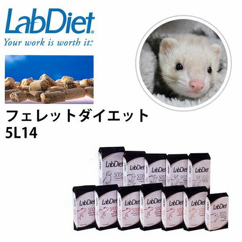 27周年セール中】フェレットプラス ダイエットメンテナンス1.2kg