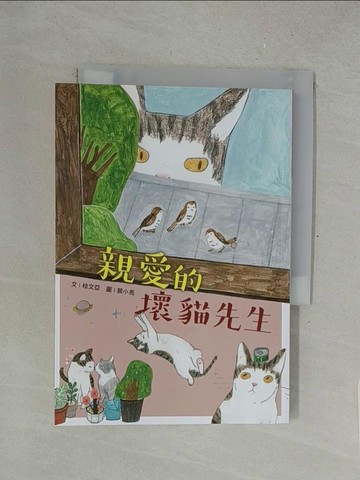 【書寶二手書T1／兒童文學_SPI】親愛的壞貓先生_桂文亞