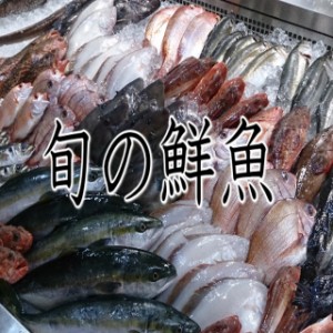 明治から続く鮮魚店 ４代目がセレクト！ 北陸 石川 お取り寄せ　旬の 地物　鮮魚セット （C）ギフト　お歳暮　お中元